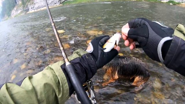 Река "Кия"! Семейный отдых и рыбалка 20,07,2019г (заключительная часть) смотреть онлайн