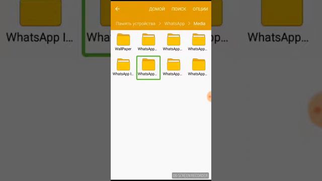 WhatsApp тазалау смотреть онлайн