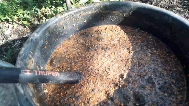 Опять эксперимент с бешеным удобрением смотреть онлайн