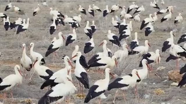 Розслабляюча музика?терапевтична музика для серця та кровоносних судин, розслаблення, музика для 10 смотреть онлайн