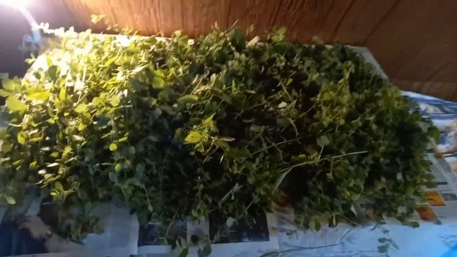 Заготовки зимой: простые рецепты