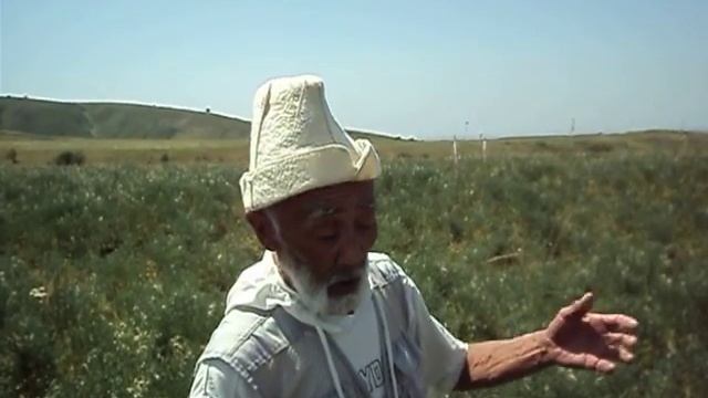 древний город саков скифов смотреть онлайн