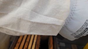 Пропала матка в пчелинной семье. Какие варианты? Что делать?