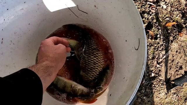 Рыбалка ,Астрахань ,Маково,часть 3 смотреть онлайн