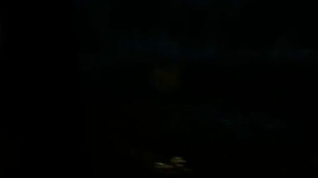 Survivers Viy что где когда зачем б..ь тут ведьма О_о смотреть онлайн