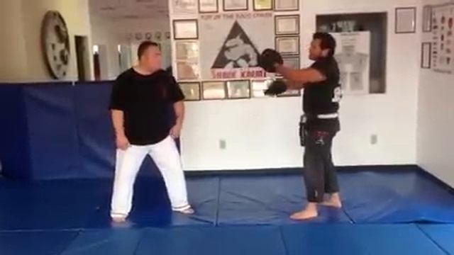 Shark Karate: Kung-Fu San-Soo Hung-Gar lesson смотреть онлайн