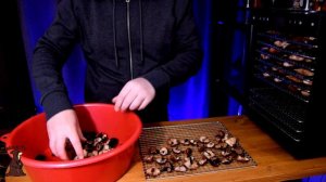 Что можно приготовить в Дегидраторе в домашних условиях Рецепты для Дегидратора