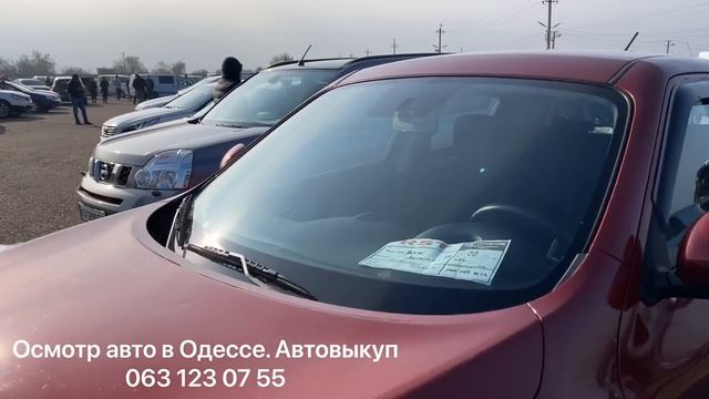 Цены на японские авто в Одессе. Авторынок «Куяльник» (Яма) смотреть онлайн