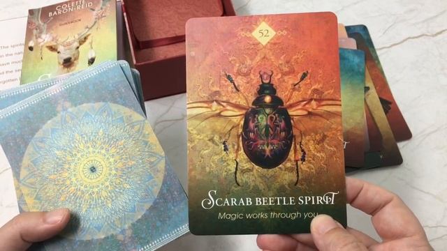 The Spirit Animal Oracle Cards Unboxing and Review смотреть онлайн