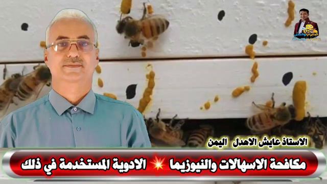 افضل الطرق لمكافحة الاسهالات💯 والنيوزيما عند النحل💥علاج الاسهالات💯زحف النحل 💥الاستاذ عايش الاهدل смотреть онлайн