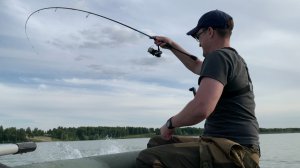 МИКРОДЖИГ ДЛЯ НАЧИНАЮЩИХ. СОВЕТЫ И СЕКРЕТЫ, ТЕОРИЯ И ПРАКТИКА.