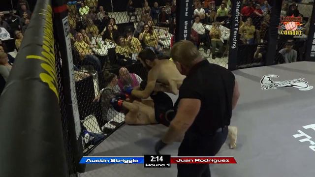 Rodriguez V Striggle CC56