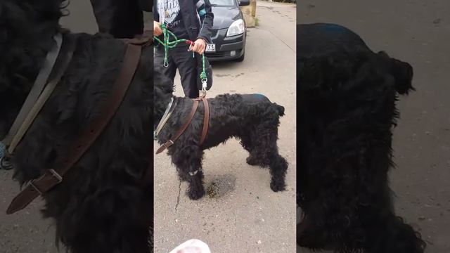 29 августа 2017 г. смотреть онлайн
