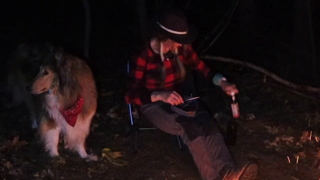 Full Moon Overnight at my new Bushcraft Shelter- ALONE with DA WOOF смотреть онлайн