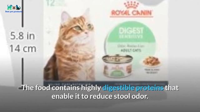 Top 5 Best Cat Food For Sensitive Stomach 2020 | Exclusive Cat Food For Sensitive Stomach Right No смотреть онлайн