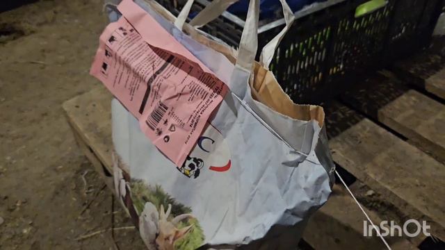 Бизнес на овцах Привезли еще трех овец с ягнятами смотреть онлайн