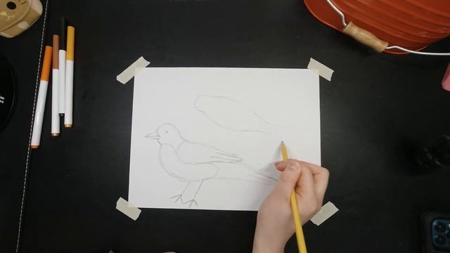 How to Draw a Bird for Kids смотреть онлайн