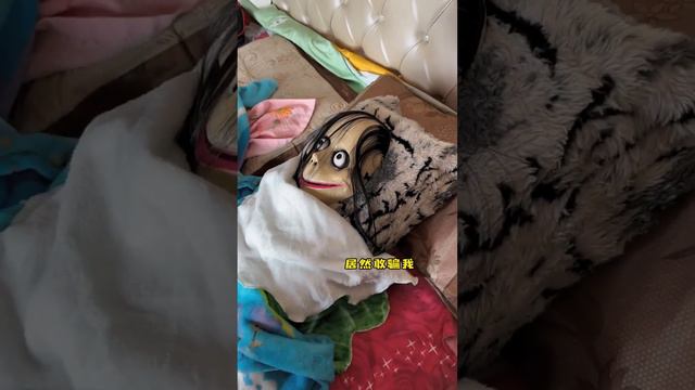 姐姐用血纱布整蛊弟弟，骗他受伤了要砍掉腿，还没得意就被弟弟“报复”了【袁语晨同学】 смотреть онлайн