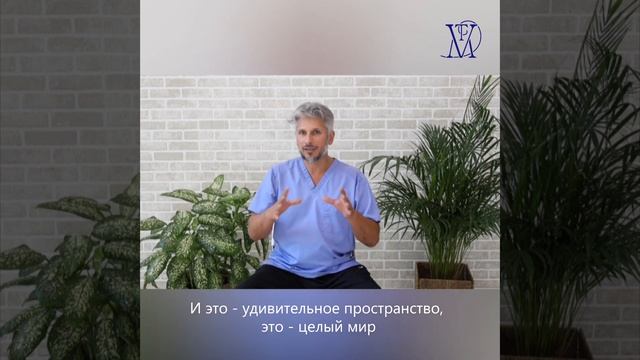 Основы метавитоники смотреть онлайн