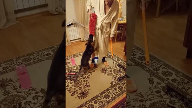 Швабра смотреть онлайн