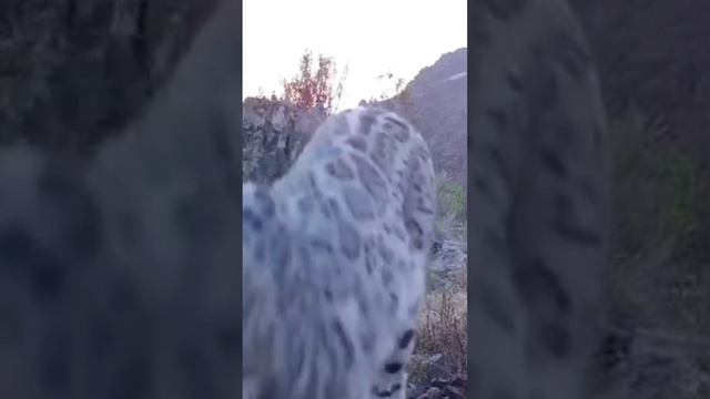 Примерно вот так и мы движемся к намеченой цели... смотреть онлайн