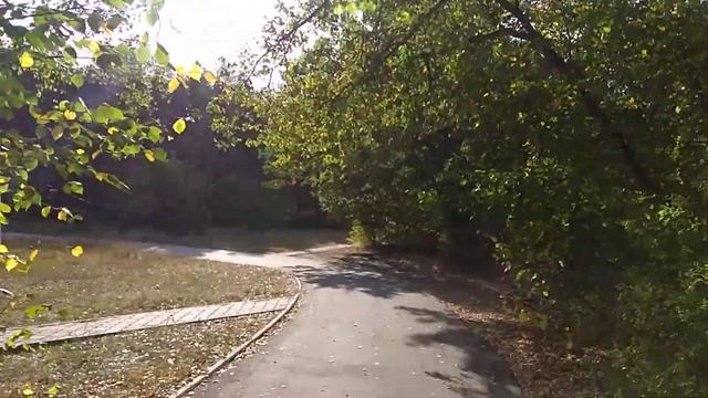 058 ПУЛЬСОМЕТР И МАЛЕНЬКАЯ БЕЛАЯ ЛИСИЧКА смотреть онлайн