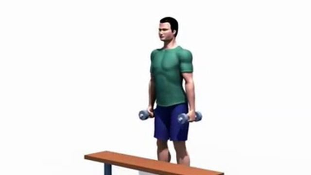 Подъемы на горизонтальную лавку с гантелями в опущенных руках смотреть онлайн