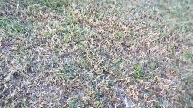 Josh vs Damo смотреть онлайн