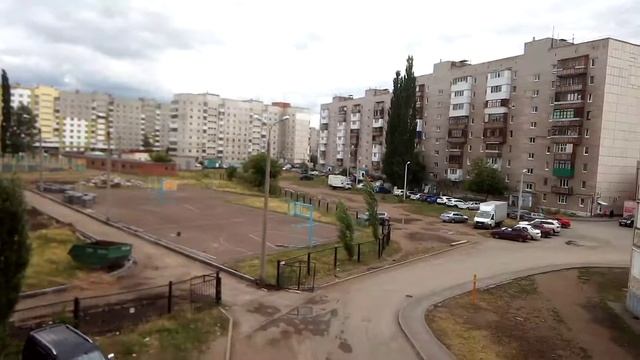 Чайки в городе летают смотреть онлайн