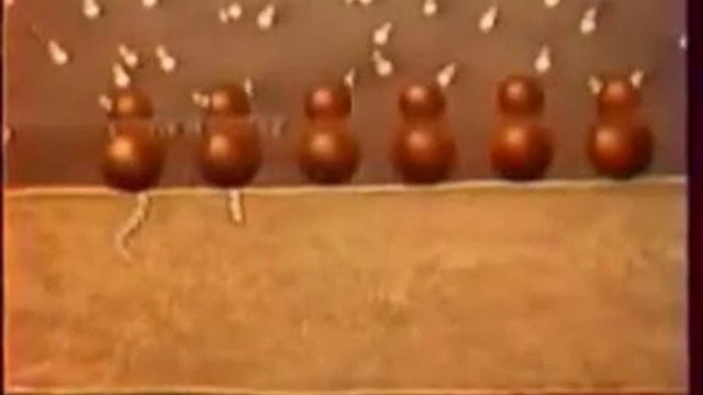 Аппарат Гольджи и ЭПС клетки смотреть онлайн