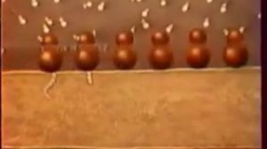 Аппарат Гольджи и ЭПС клетки