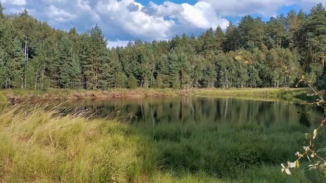 Тропа Паустовского. Озеро Черное. смотреть онлайн