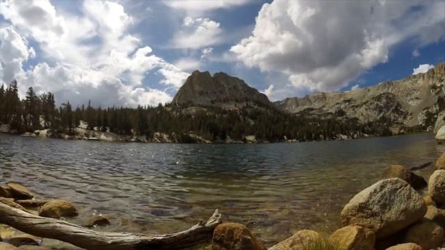 Интересные факты о мамонтах смотреть онлайн