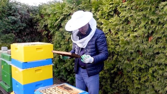 ОСМОТР УЛИКОВ УДАЛЕНИЕ ЧЕРНЫХ РАМОК ПОСЛЕ ЗИМЫ смотреть онлайн