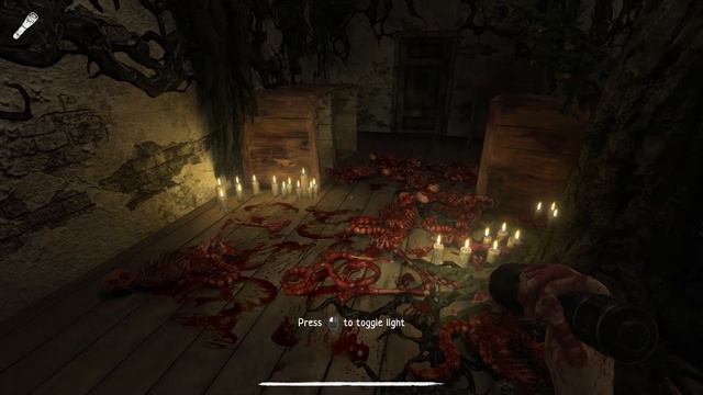 PARANOIA PLACE Gameplay