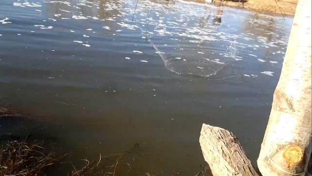 Онохино Дамба Рыбалка смотреть онлайн