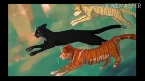 История Горелого ~Коты-Воители~