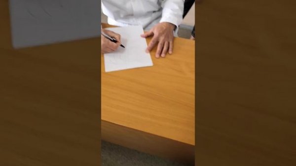 Грудная и брюшная части аорты