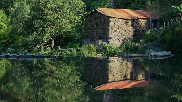 Beautiful Music to Calm,Relax and Relief Stress смотреть онлайн
