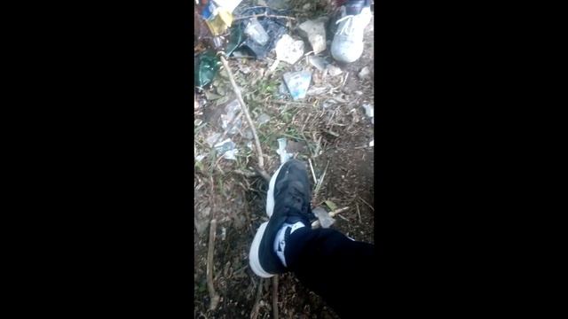 видеаблог2 СОБАКИ/ РАЗБИЛ СТЕКЛО/ ВПАРИЛИ СИГИ/попробовали рэвы немного /СЛУШАЛИ МУЗОН смотреть онлайн