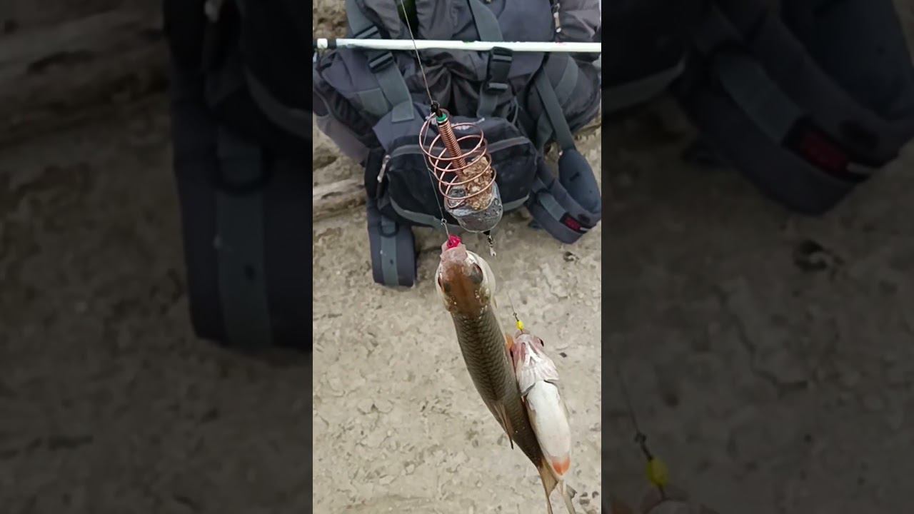 24 июня 2023 г. смотреть онлайн