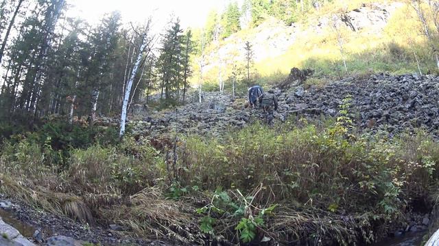 Верховья горно-таёжной реки зажаты СКАЛИСТЫМ КАНЬОНОМ. ШОКИРОВАНЫ увиденной КРАСОТОЙ! Ловим Хариуса смотреть онлайн