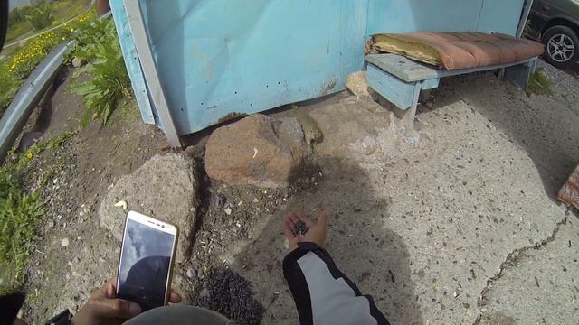 Никогда не кормите их из руки. смотреть онлайн