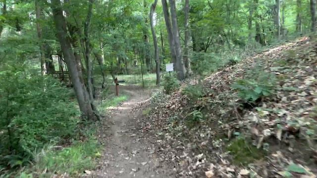 Off-road EUC ride / Begode Master & Kingsong S22 Pro electric unicycles смотреть онлайн