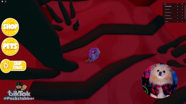 ГИГАНТСКИЙ МОНСТР ХОЧЕТ СЪЕСТЬ МЕНЯ В РОБЛОКС | ЗЛОЙ КАПИТАН ЛОВИТ МЕНЯ | ROBLOX смотреть онлайн