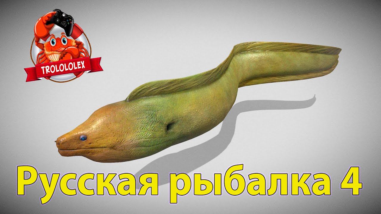 Русская рыбалка 4 Старый острог Угорь смотреть онлайн