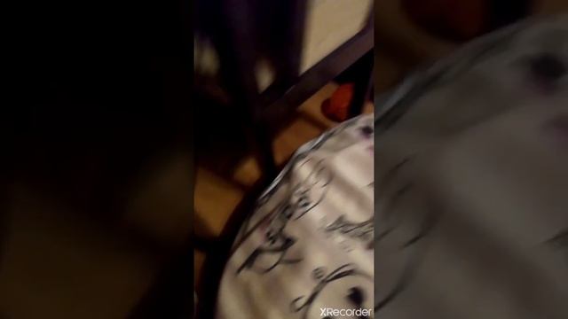 хомяк начинает худеть смотреть онлайн