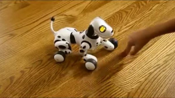 Zoomer (Зумер) Зуми интерактивная собака