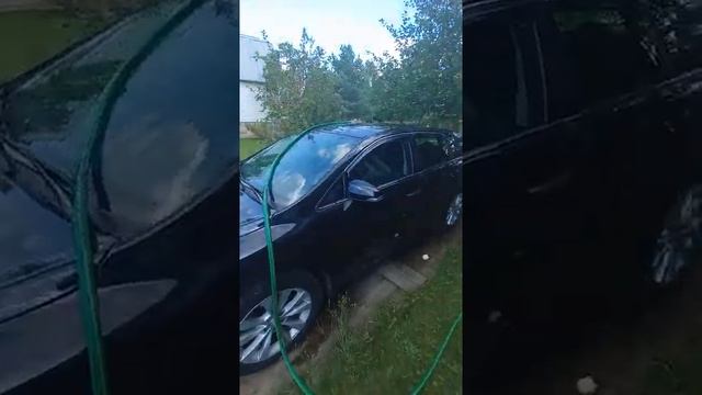 Павел Жигарёв