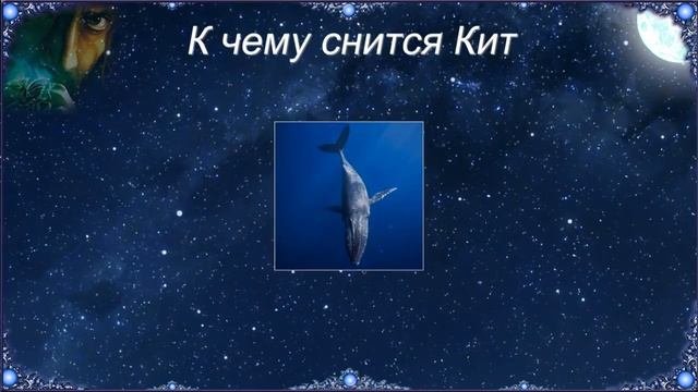 К чему снится Кит (Сонник) смотреть онлайн
